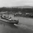 주바이오 주식회사 이미지