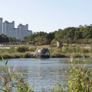 운정호수공원 이미지