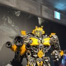 피규어 뮤지엄제주 | 제주가볼만한곳 피규어뮤지엄제주 내돈내산 후기 :)