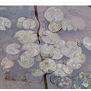 이연주농장 이미지