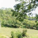 월호마을회관 이미지