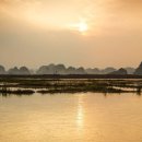 여행전 베트남 공부 ⑨베트남 쌀국수 이미지