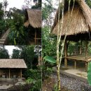 원두막커피 이미지