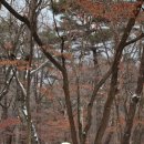 별천가든 이미지