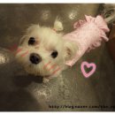 더안경원 이미지