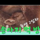 도릉농원 네이버블로그