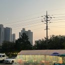 연우수산 | [전주 대하구이 맛집 :: 연우수산] 세병호 근처 낭만 있는 야외에서 먹는 왕새우 소금구이🦐