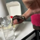 브리딩 팜 이미지