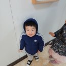 원주곤충마을박물관 이미지