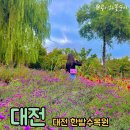 콩이네다육이 | 대전 한밭수목원 대전 당일치기 여행코스