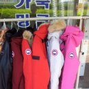 성원세탁 이미지