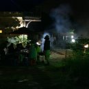 돌배나무 세그루 이미지