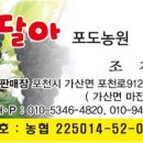 아포농업협동조합 이미지