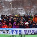 안양초교_동 이미지