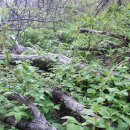 왕성농장 이미지