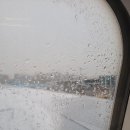 원노마을회관 | [JENESYS 2023 겨울] DAY1-영빈관/아카사카 이궁/아키하바라