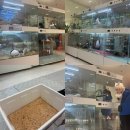 마리앤쥬 | 서면 데이트 &amp; 아기랑 놀거리 추천｜실내동물원 마리앤쥬 후기