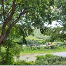 아란 농장 이미지