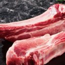 금돈농장 이미지