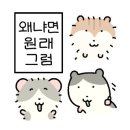 군단 부대찌개