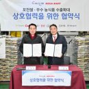 대미플러스 이미지