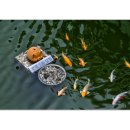 정동진호텔 이미지