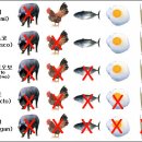 사람들이 채식에 대해서 간과하는 점 이미지