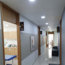 나무정형외과의원 이미지