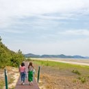 몽산포 송림 이미지