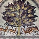 삭개오와뽕나무 이미지