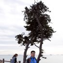 하복대점현대자동차 이미지