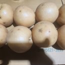 대비농장2 이미지