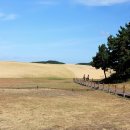 태안바다 이미지