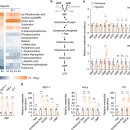 Re:Coordinative metabolism of glutamine carbon and nitrogen in proliferating cancer cells under hypoxia 2019 네이처 논문 이미지