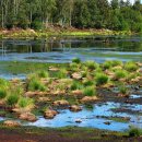 에버힐GC 이미지