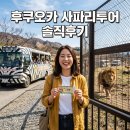 후쿠오카 사파리 투어 플러스 유후인 하차 벳푸 아프리칸사파리 솔직 후기