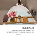 데일리앤스파 이미지