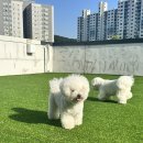 아이멍그라운드