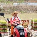 모서면 삼포리~도안리 이미지