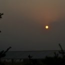 해님축사 이미지