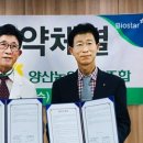 베데스다복음병원 네이버블로그