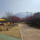 간전중앙로 이미지