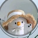 메아트