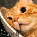 본동소국밥 | 21년 8월, 놓친 일상 이야기(1)