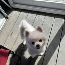 뷰델카라반펜션 이미지