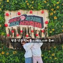 최가네양구펀치볼시래기 | 청춘 양구 펀치볼 시래기 사과 축제 11월 1일 토요일 방문 후기