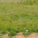 고은가든 이미지