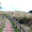 유일기획 이미지