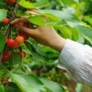 또박이농장 이미지