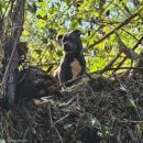 확인불가 이미지